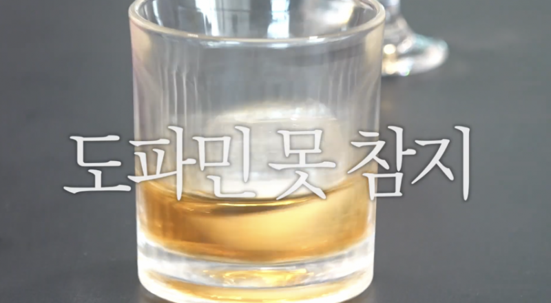 시작부터 도파민 터진다는 유튜브 .jpg