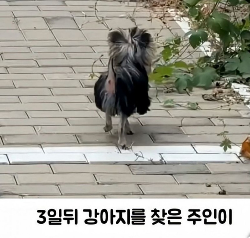 이보다 더 정밀한 그림은 없다..jpg