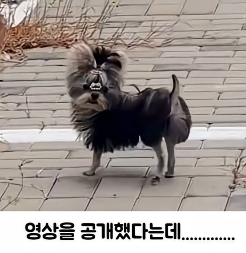 이보다 더 정밀한 그림은 없다..jpg