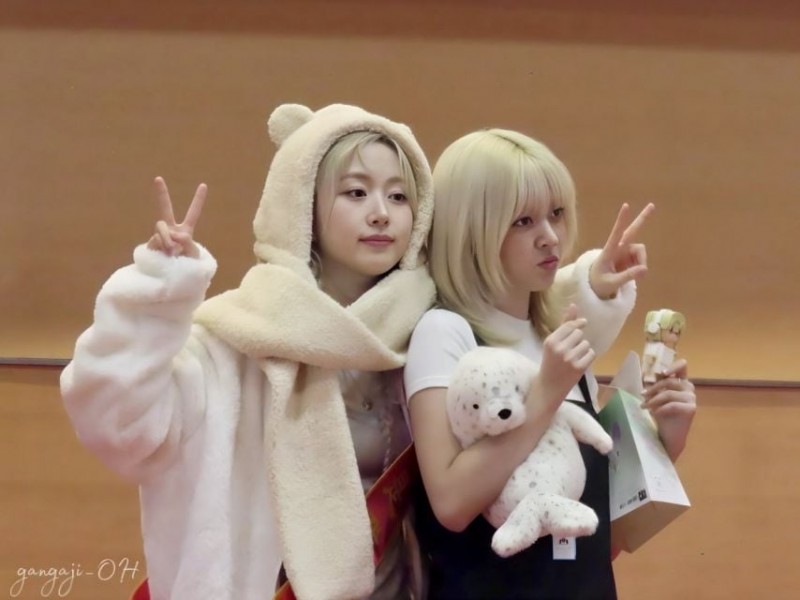 엔믹스 해원 릴리