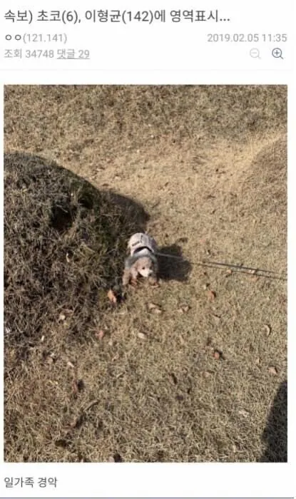 다시보는 디씨 명절 레전드