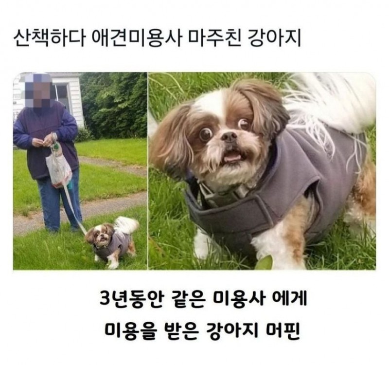 엄청 놀란듯ㅋㅋ