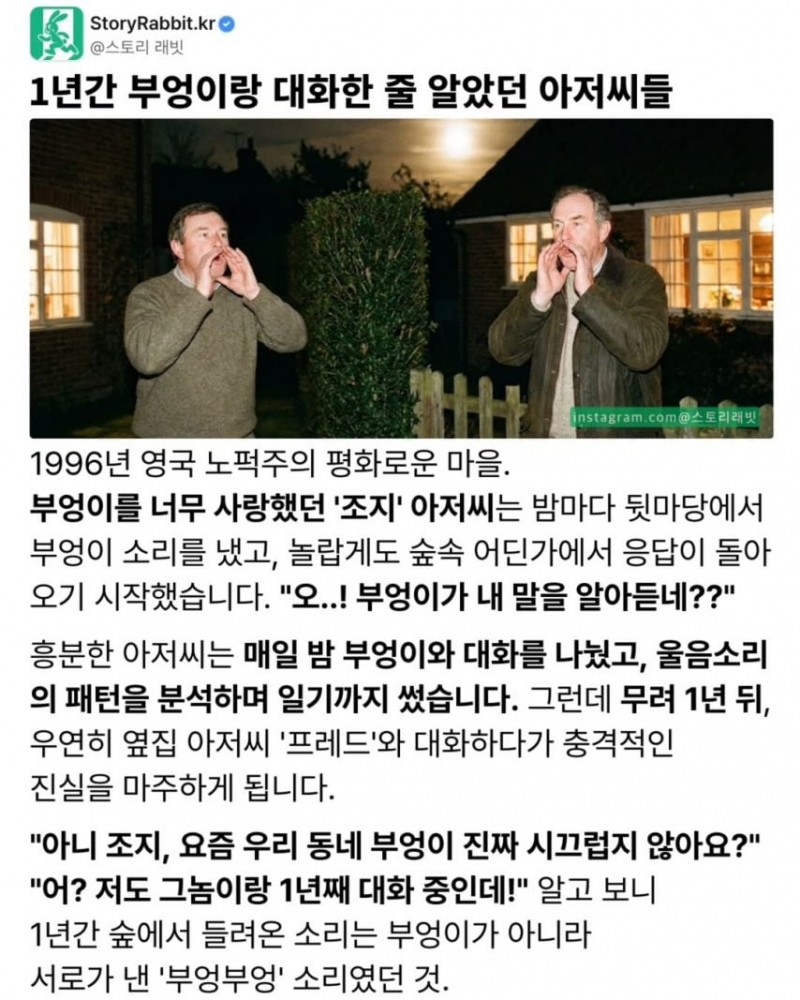 1년간 부엉이랑 대화한 줄 알았던 아저씨들