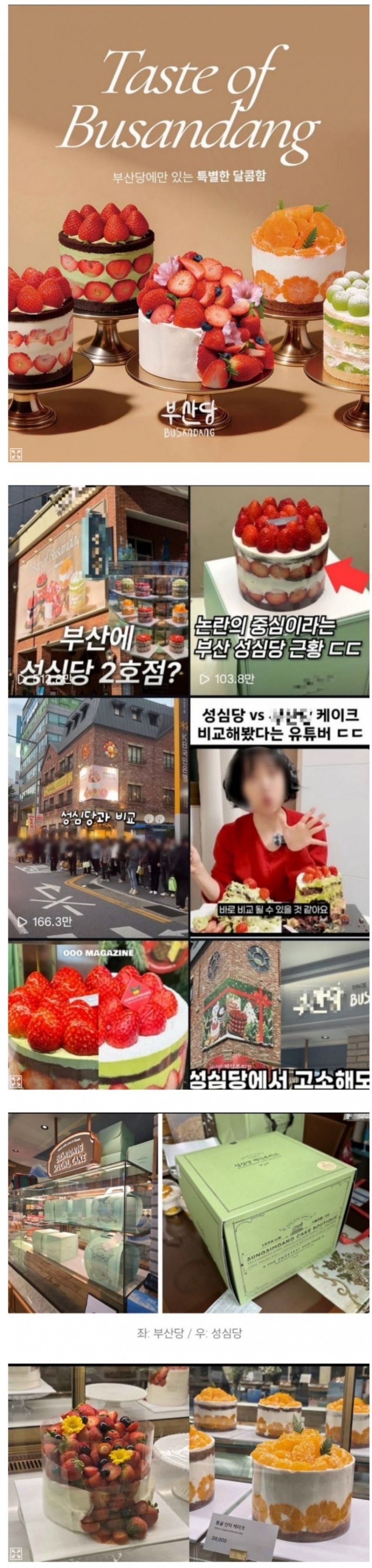 부산의 짝퉁 성심당 논란.jpg