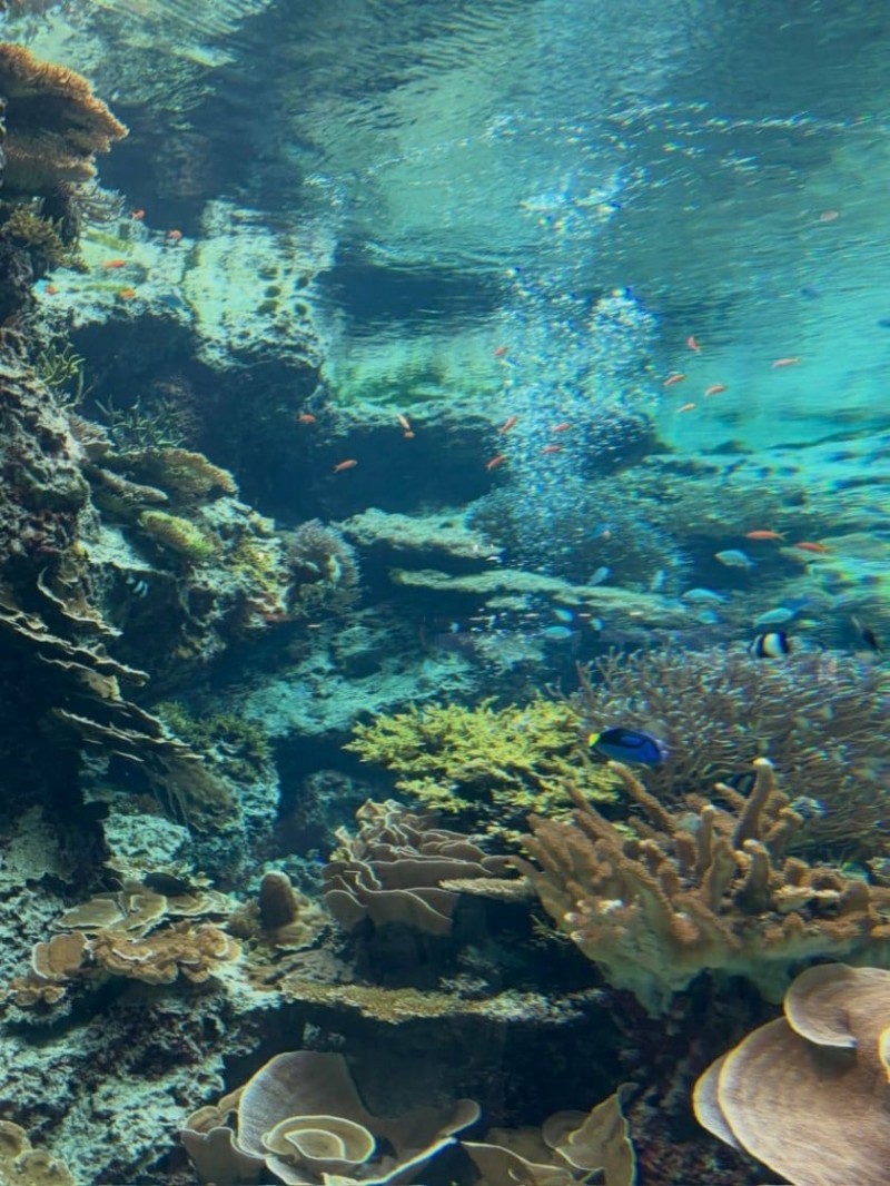 찐친과 놀러간 에스파 카리나 (feat. 류진, 한수아)