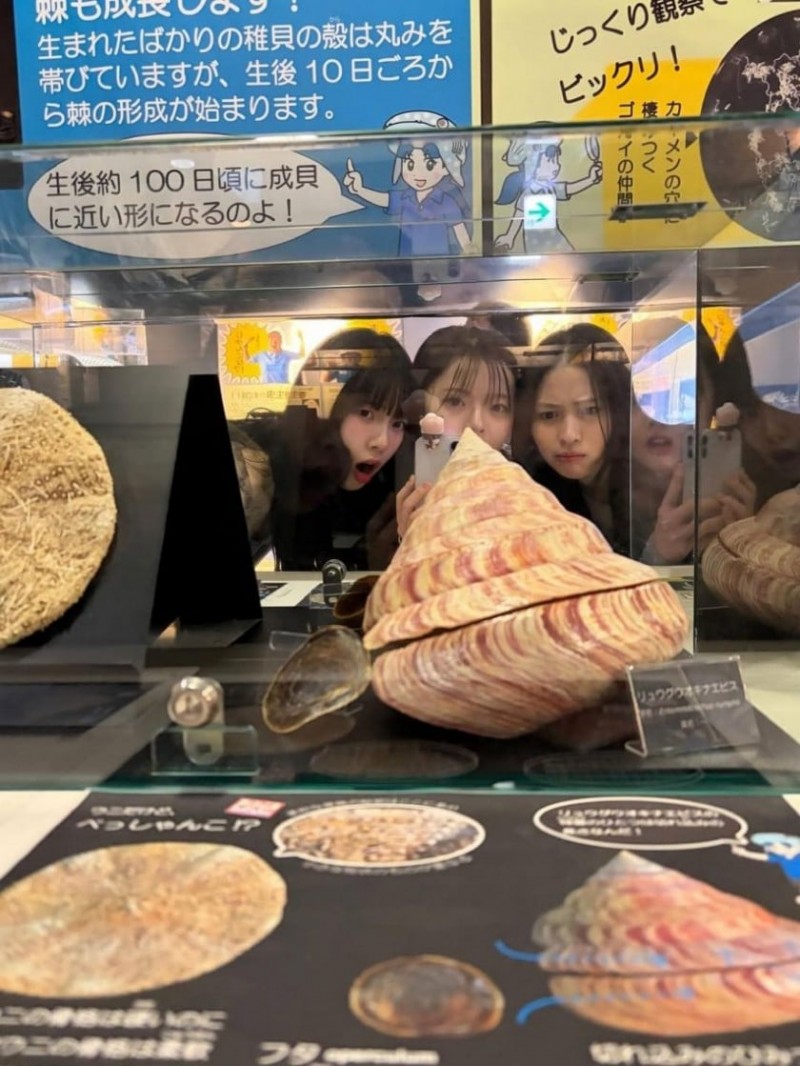 찐친과 놀러간 에스파 카리나 (feat. 류진, 한수아)