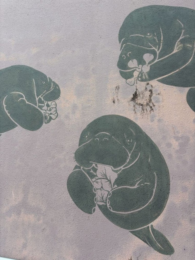 찐친과 놀러간 에스파 카리나 (feat. 류진, 한수아)