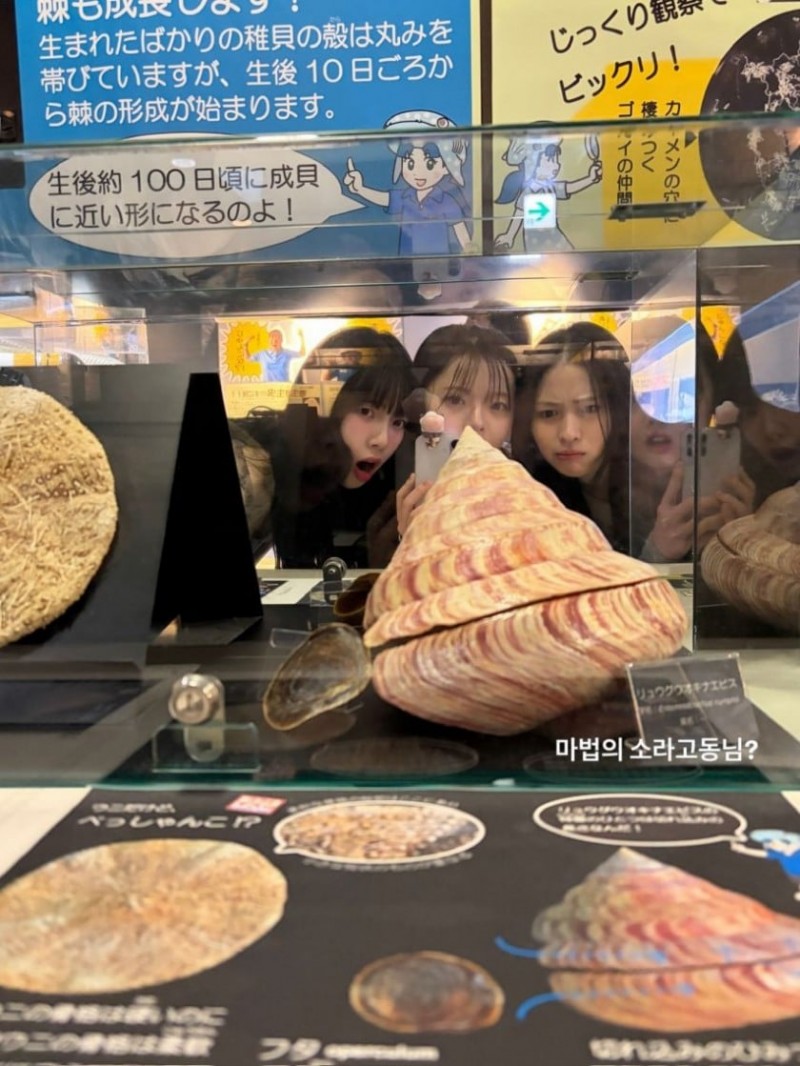 찐친과 놀러간 에스파 카리나 (feat. 류진, 한수아)