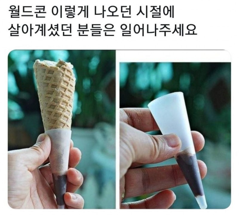 요즘애들은 모른다는 월드콘 특징