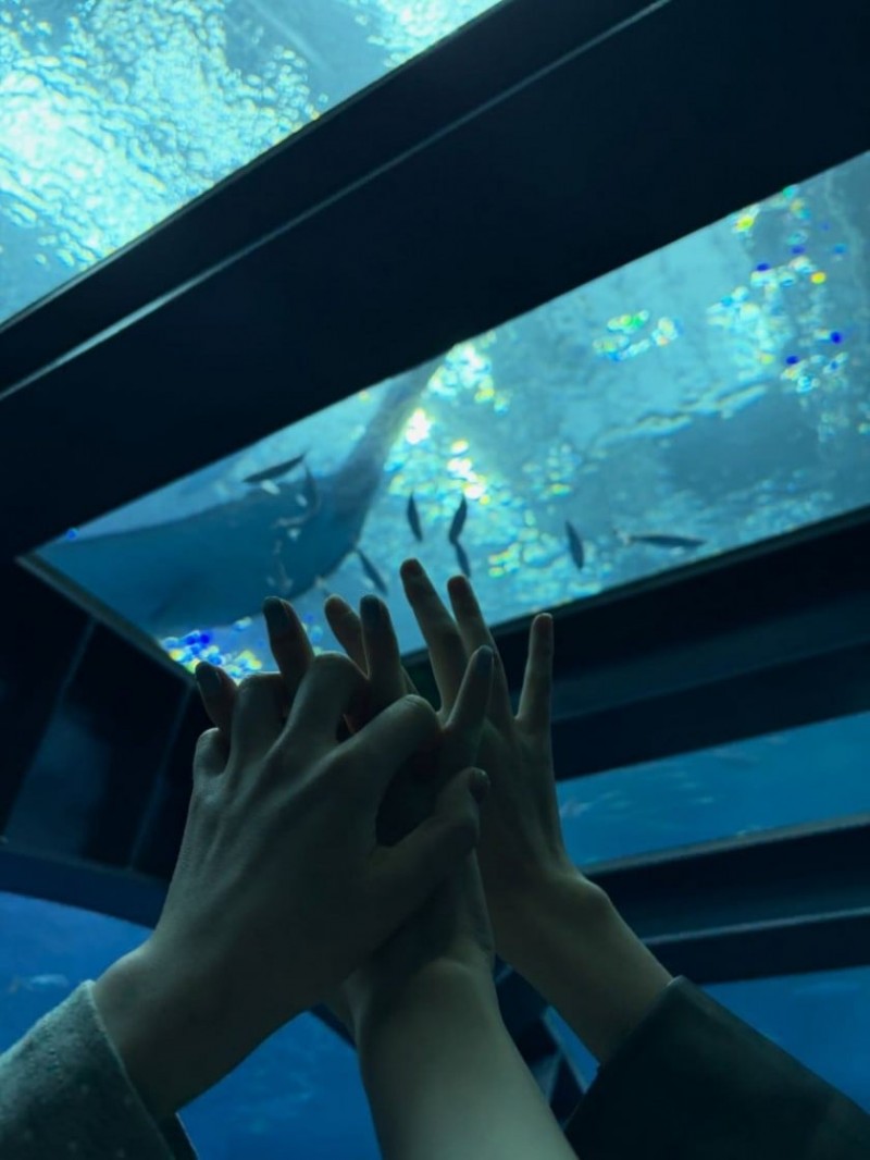 찐친과 놀러간 에스파 카리나 (feat. 류진, 한수아)