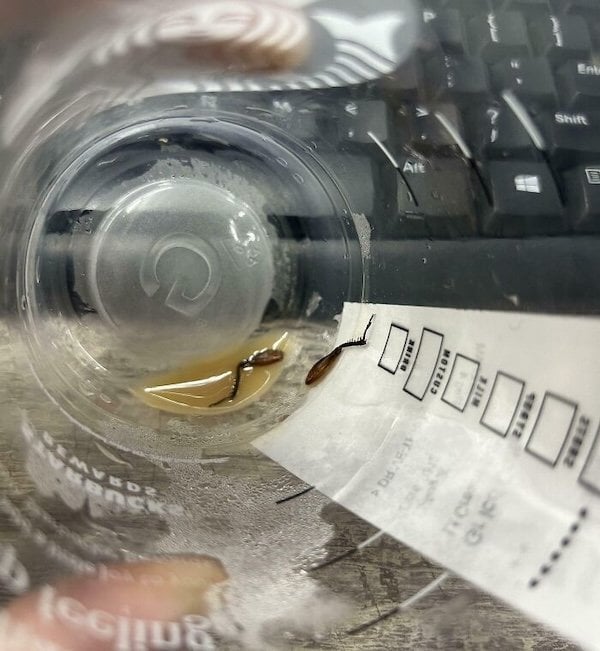 인생이 고달픈 순간....