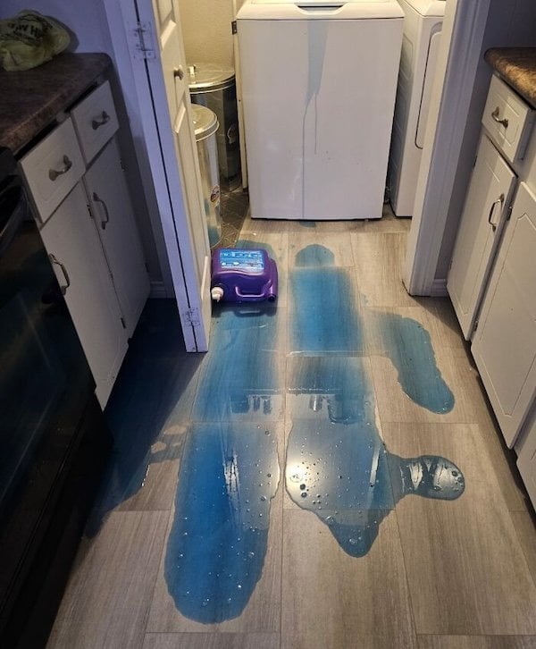 인생이 고달픈 순간....