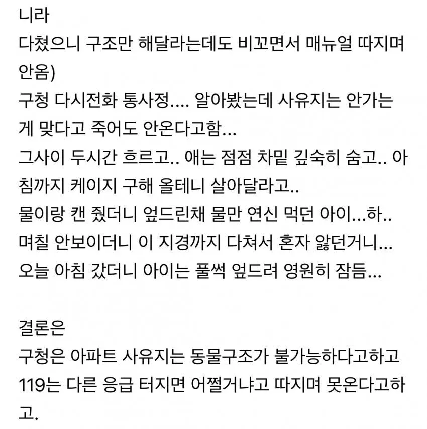 캣맘 레전드