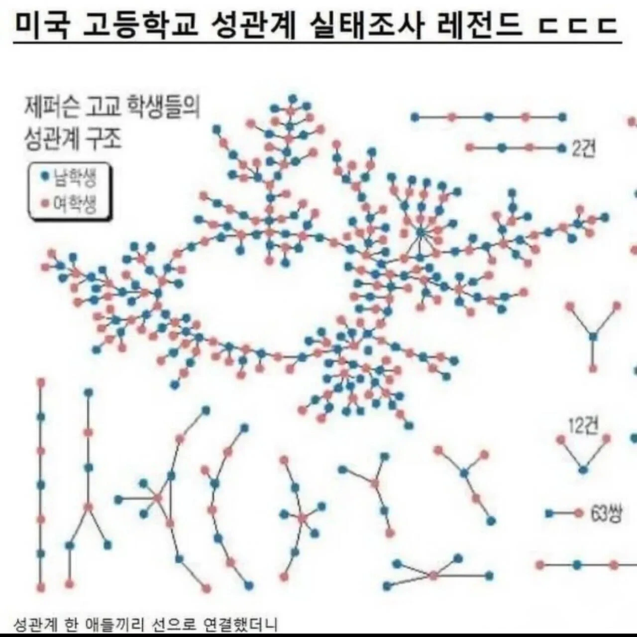 미국 고등학교 성관계 실태조사