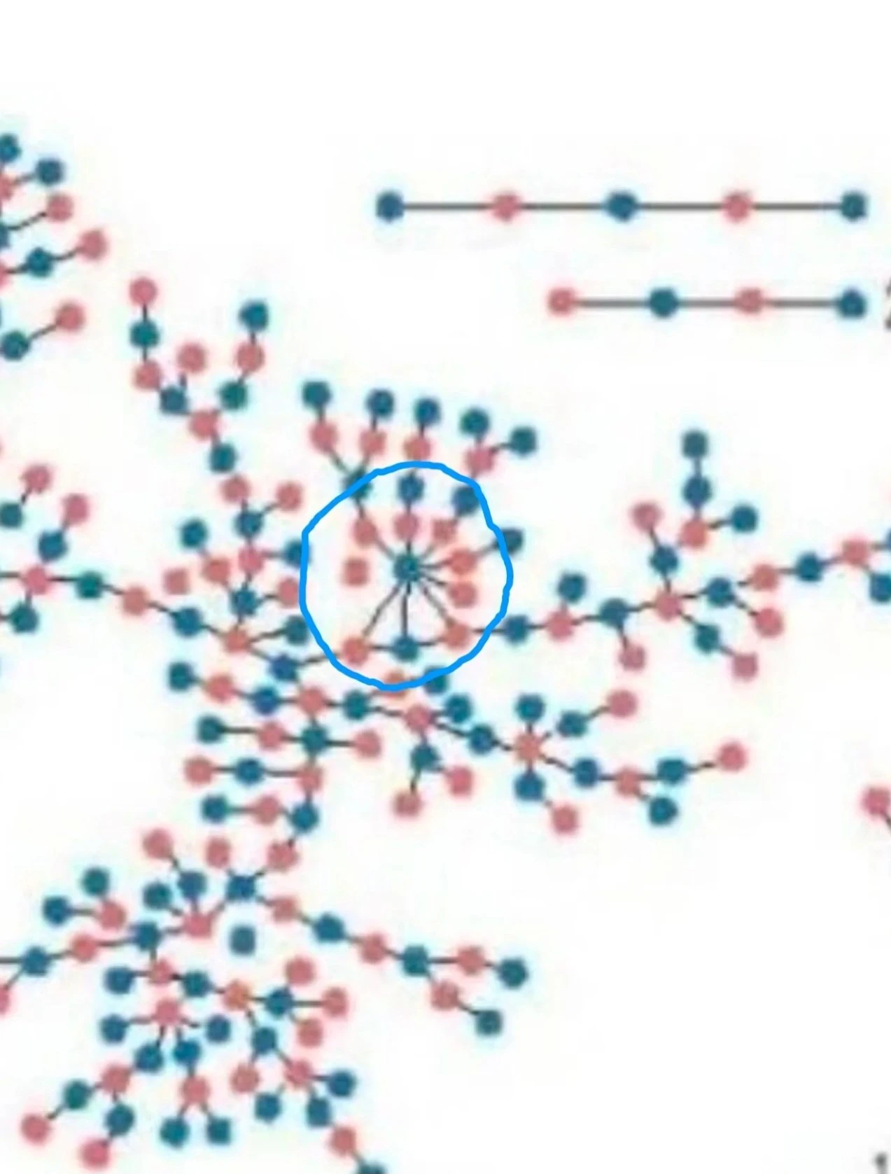 미국 고등학교 성관계 실태조사