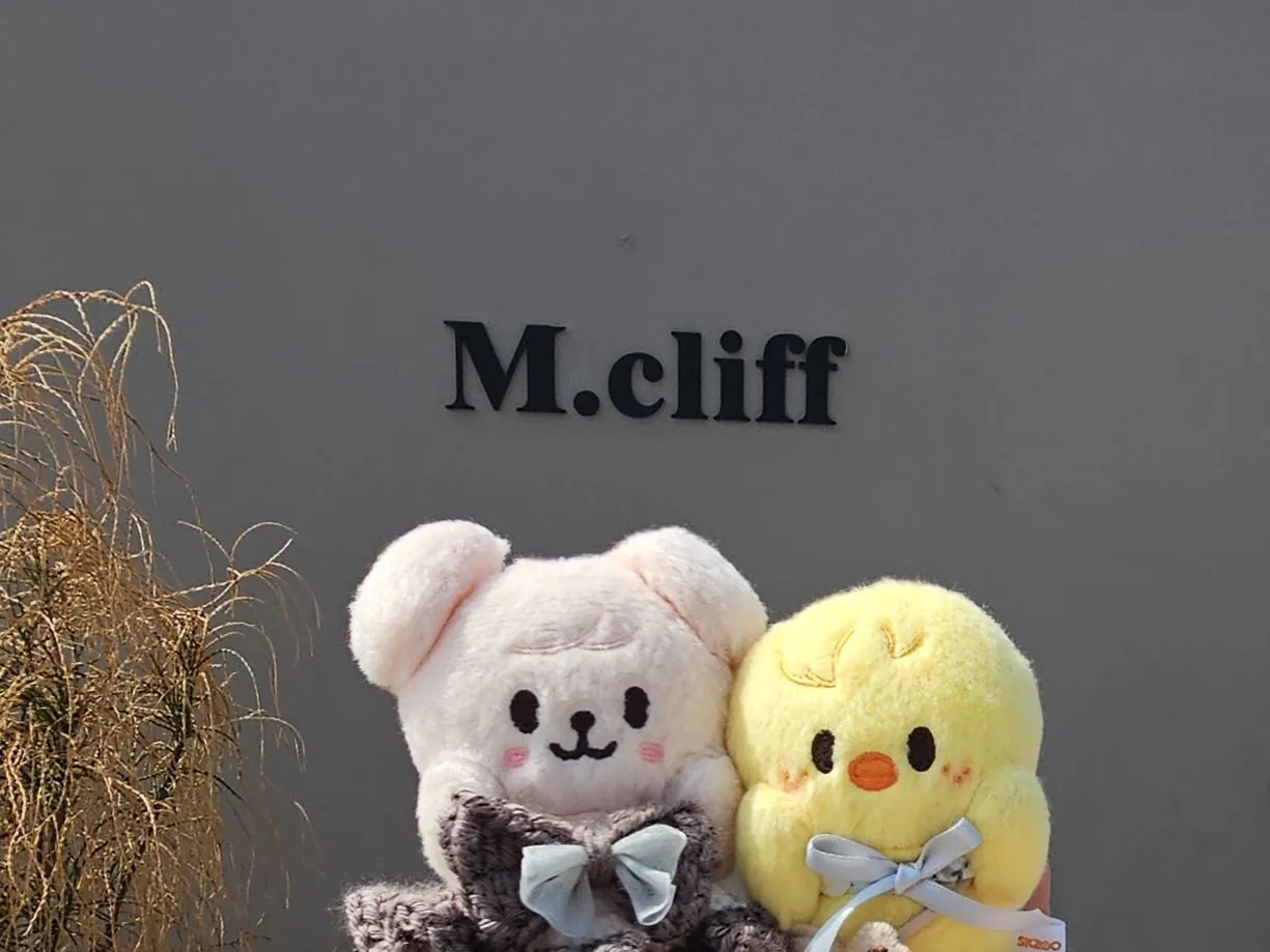 인천 놀러와서 대놓고 강도짓 당했다는 일본인