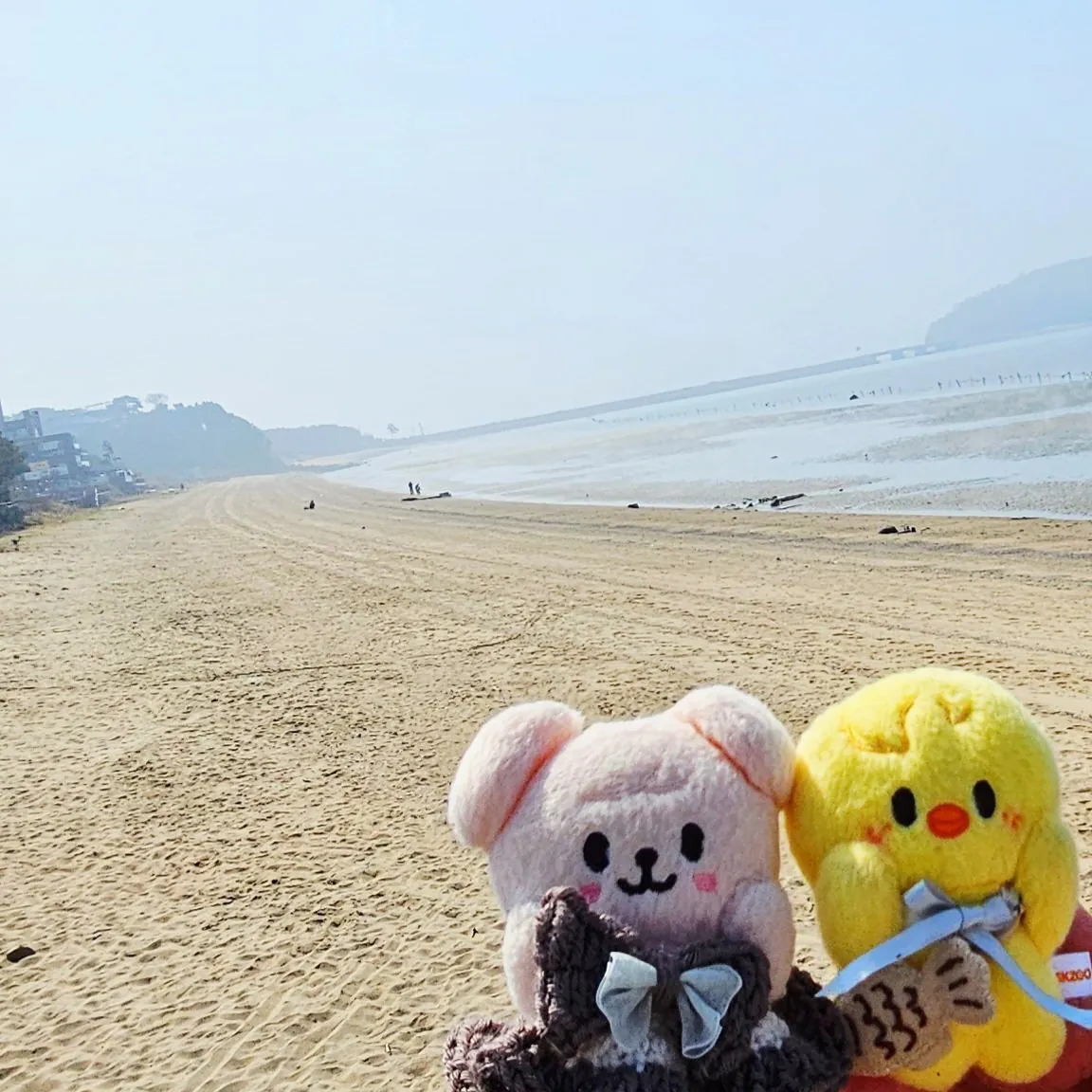 인천 놀러와서 대놓고 강도짓 당했다는 일본인