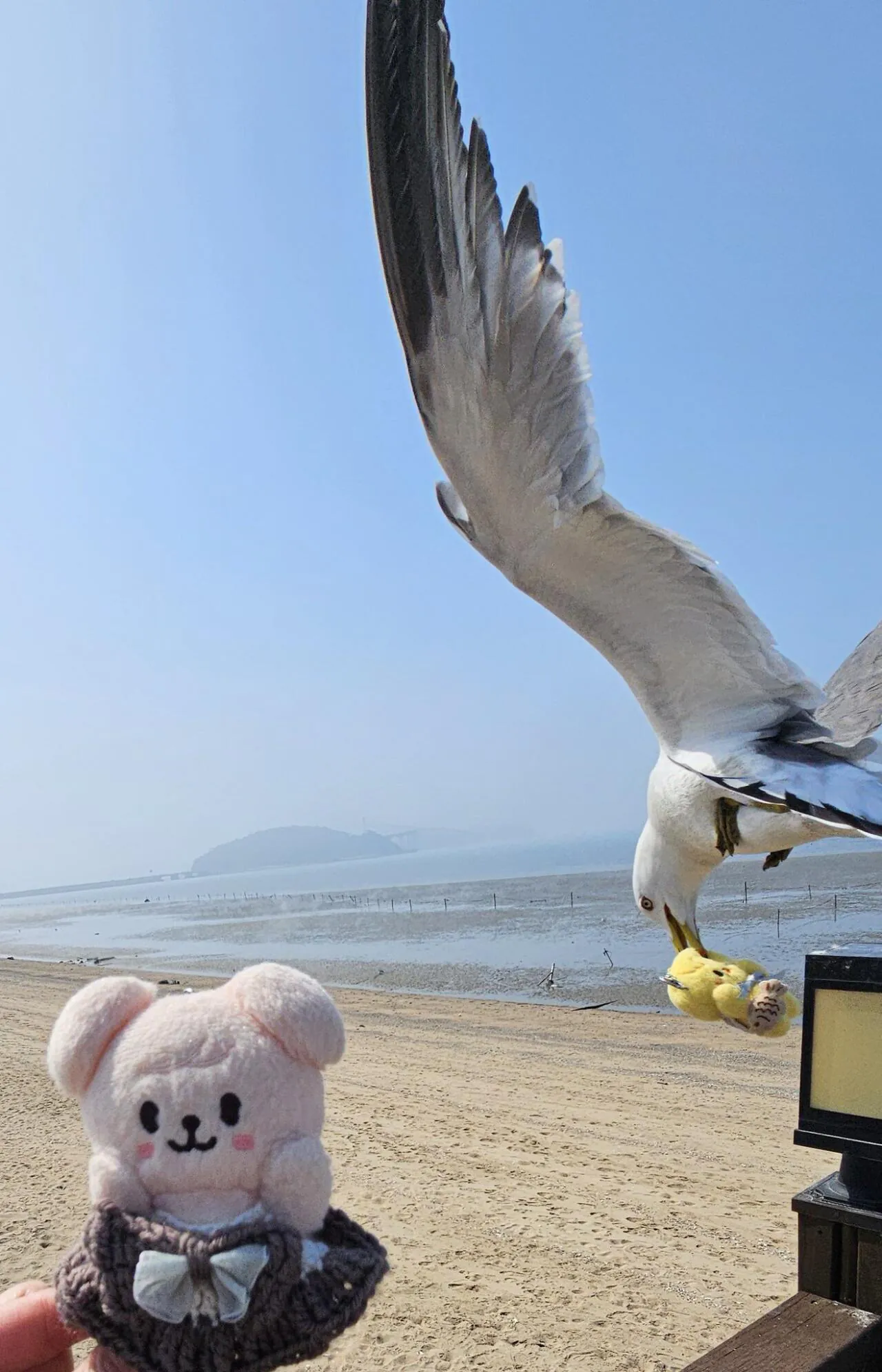 인천 놀러와서 대놓고 강도짓 당했다는 일본인