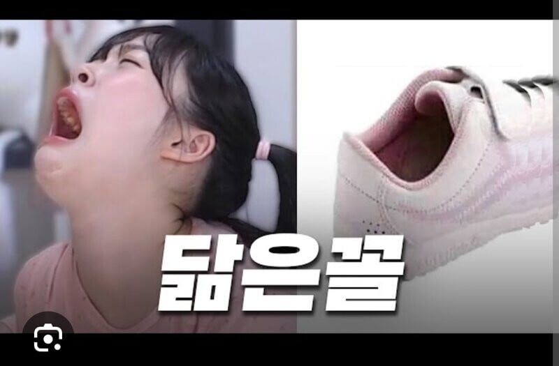 아반떼N 전복사고 난 유튜버