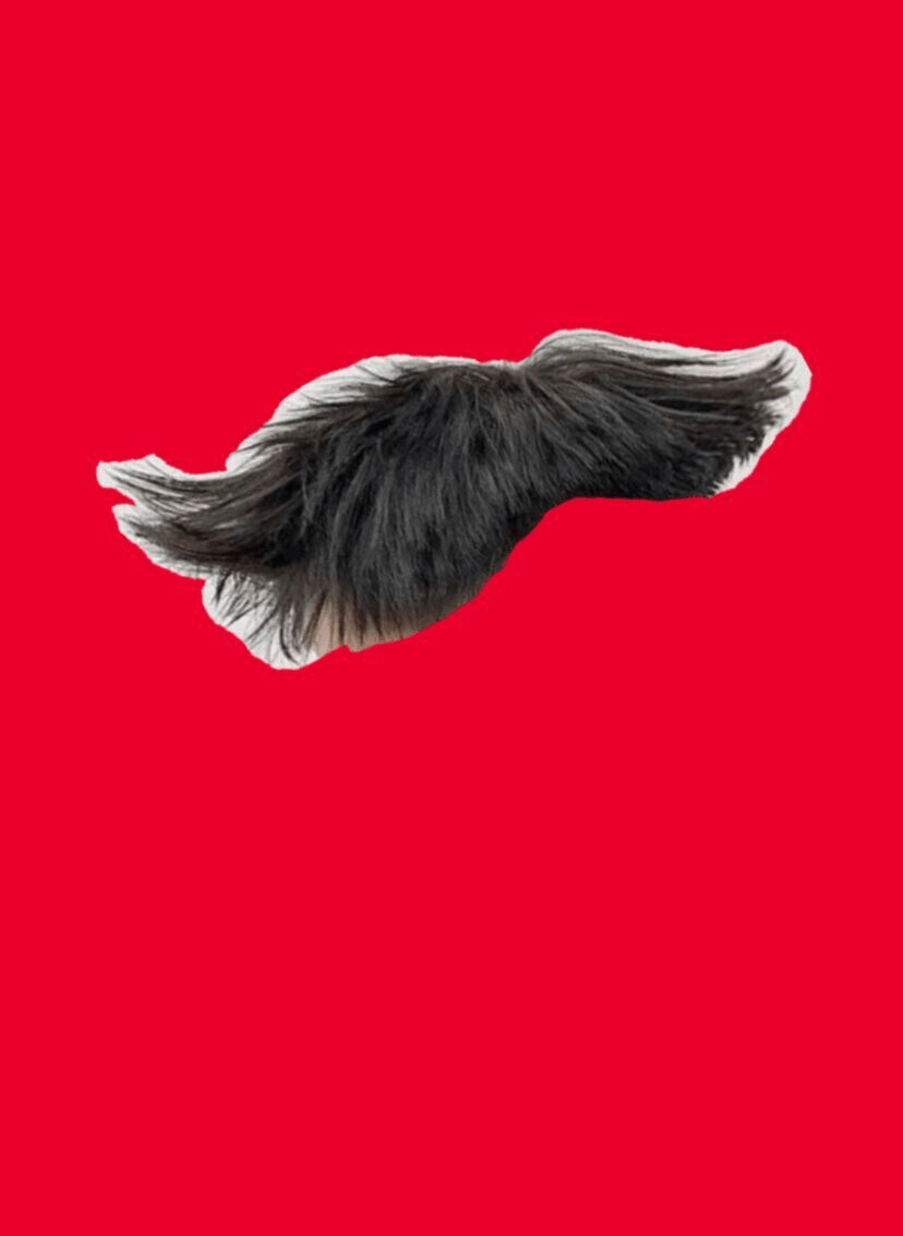 4만원 짜리 커트