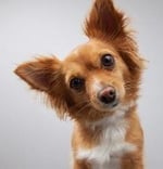 딱 만원만 있다면 당신은 무엇을 선택하시겠습니까?.jpg