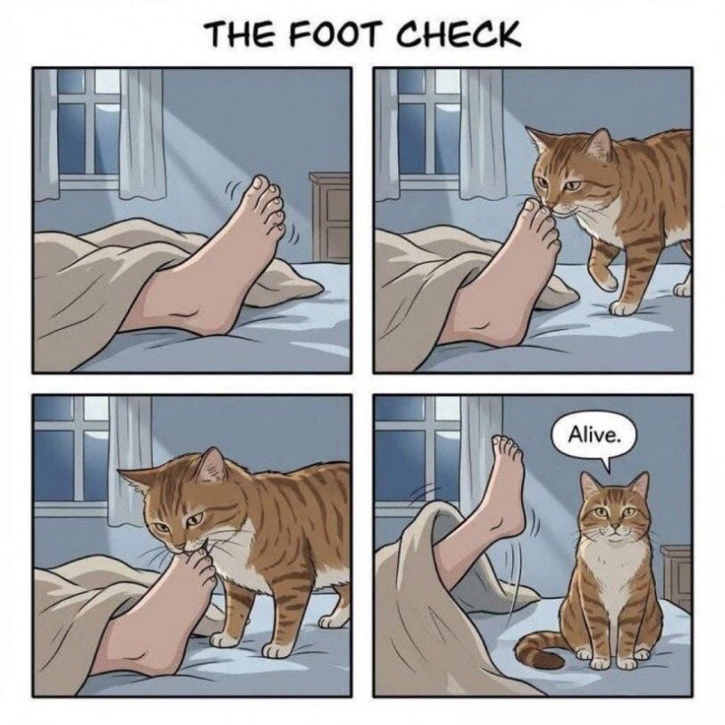 생존 확인... 살아있구낭