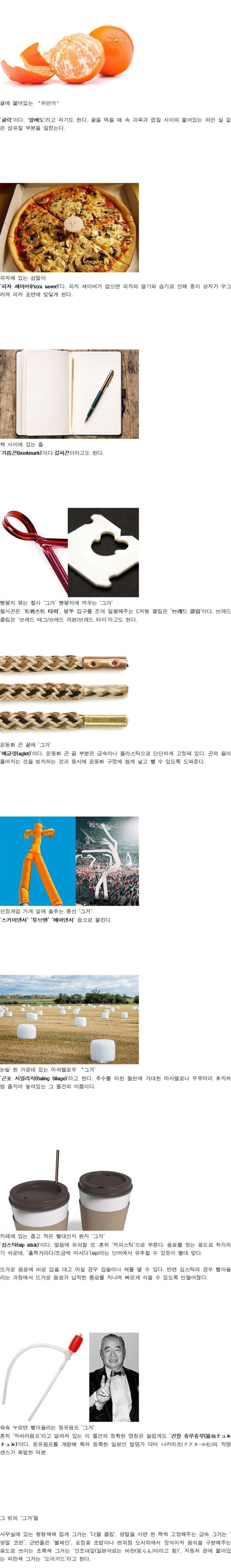 이름모를 ‘그거’의 이름.