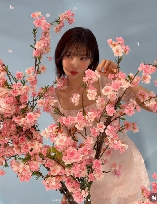 레드벨벳 조이 상큼함 귀여움