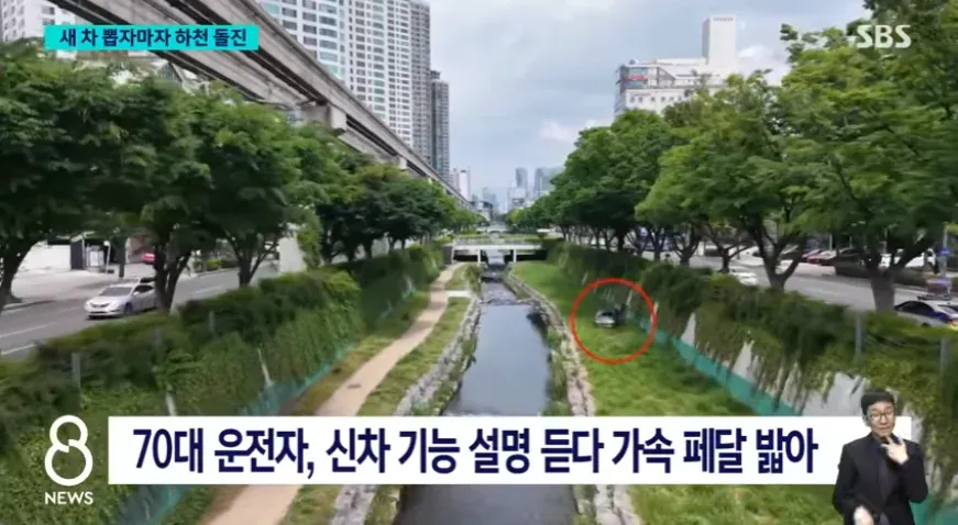 어제자 새차 받자마자 전손 사고낸 70대 운전자