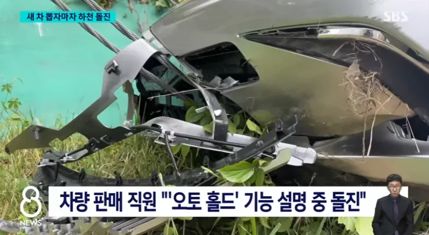 어제자 새차 받자마자 전손 사고낸 70대 운전자