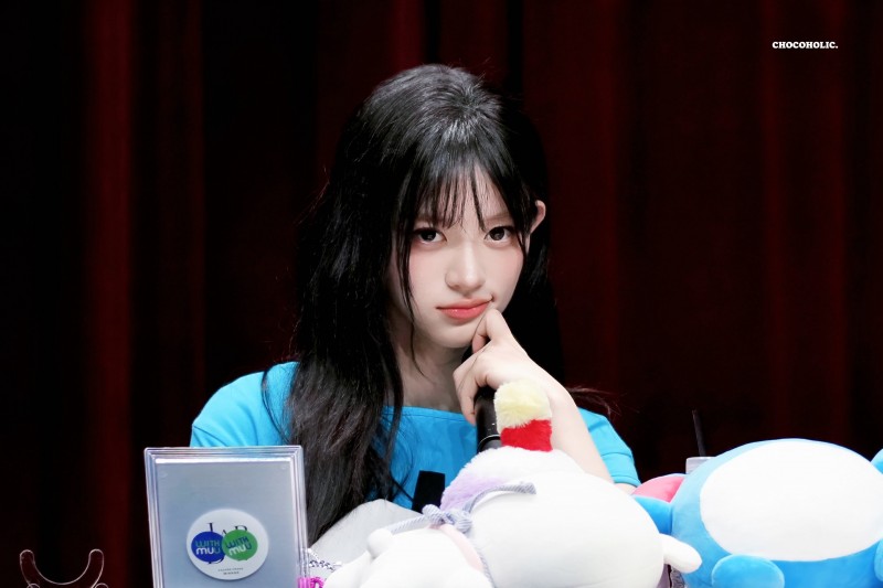 아일릿 민주