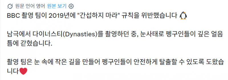 다큐 촬영 원칙을 어긴 걸로 나름 유명해진 영상
