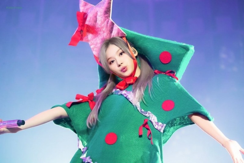 트와이스 사나