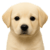 2728309356_al7F6Qsk_b2396d9d7c578e178690b73a21b939ab476ba8a6.png