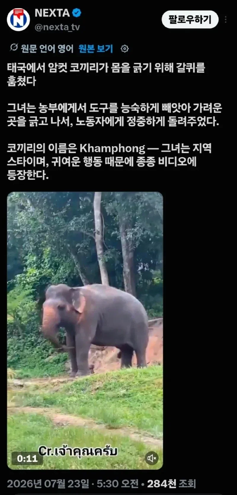 썸네일 이미지