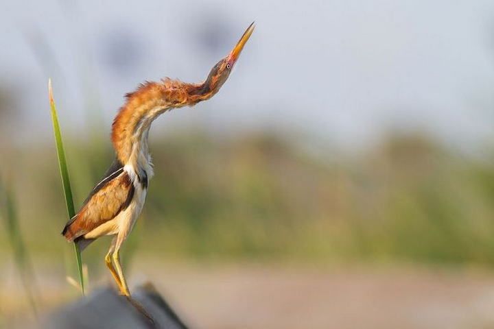 2728354507_IL8iKfdg_a5b52bc13d0bc3f518d521ac547f3a31548b2a63.jpg
