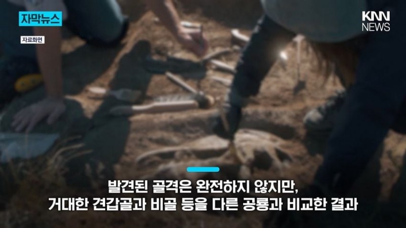 2728309713_kPBANp6E_bad59ad8177f88086017c471f959429774cebc74.jpg